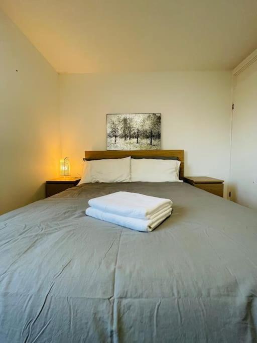 Lovely Duplex Apartment In Edinburgh City Centre 外观 照片
